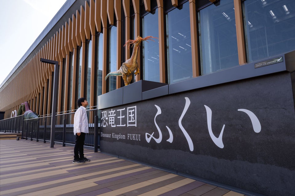 Fukui City Tourism Exchange Center Rooftop Plaza Dinosaur Monument
